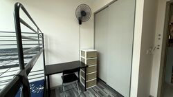 The Terrace (D19), Condominium #450526201
